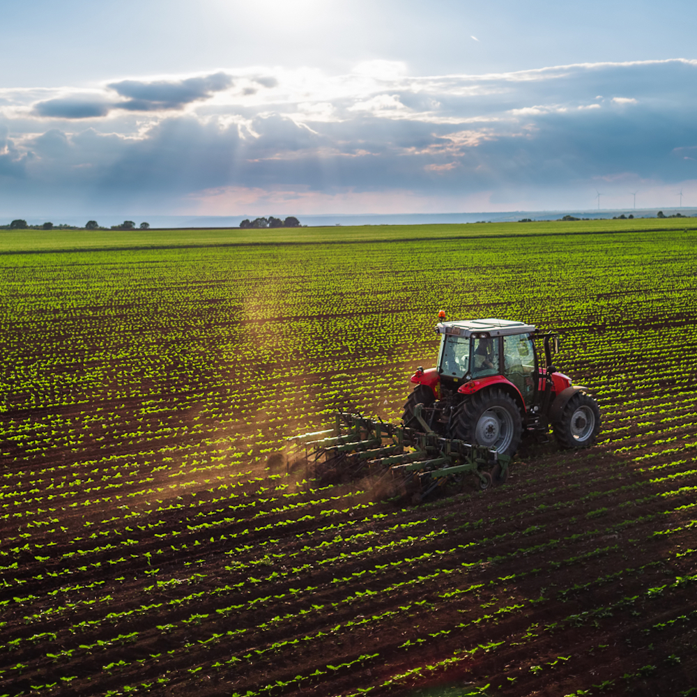 Tractor ploughing field